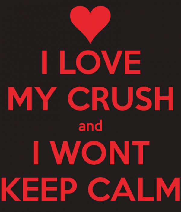 I Love My Crush And I Won't Keep Calm-dc10Desi13