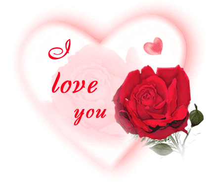 I Love You Animated Image With Red Rose