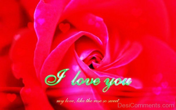 I Love You My Love,Like The Rose So Sweet-YTE313DC10