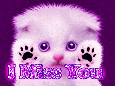 I Miss You Cat Graphic Image