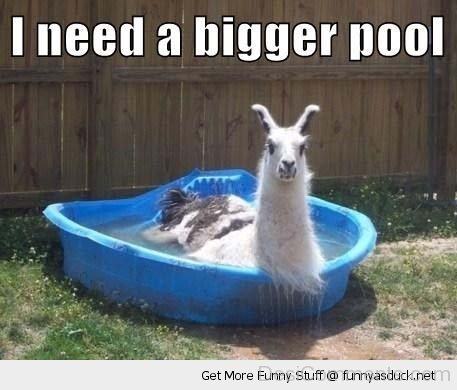 I Need A Bigger Pool