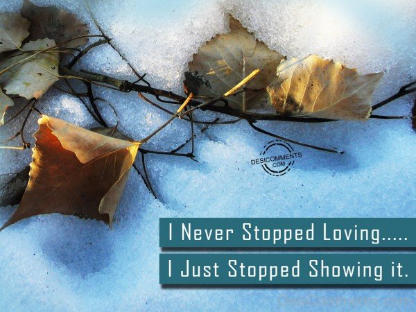 I Never Stopped Loving