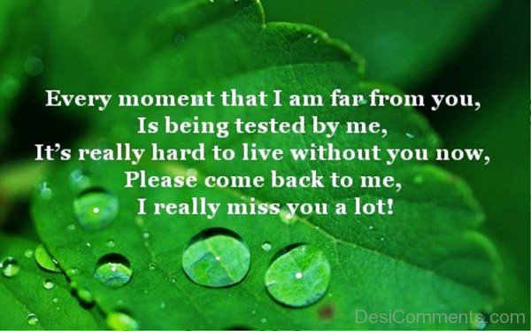 I Really Miss You A Lot