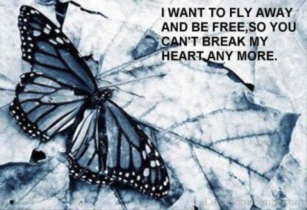 I Want To Fly Away