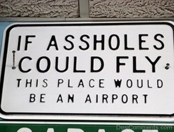 If Assholes Could Fly