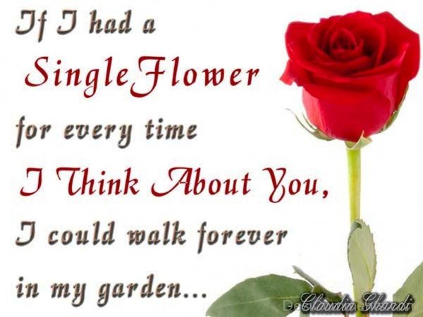 If I Had A Single Flower