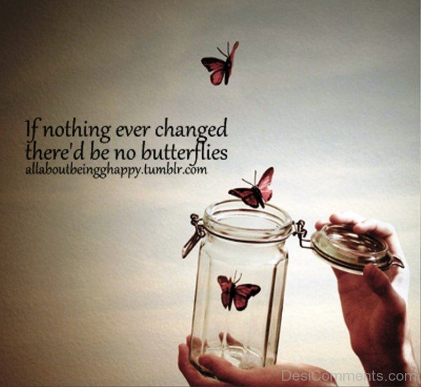 If Nothing Ever Changed There'd Be No Butterflies-imghnas.com2513