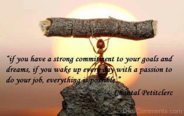 If You have A Strong Commitment-DC0F209