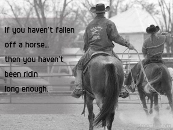 If You Have Not Fallen Off A Horse