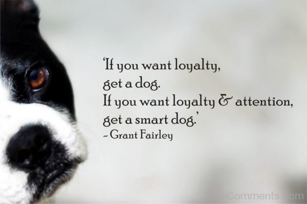 If you want loyalty