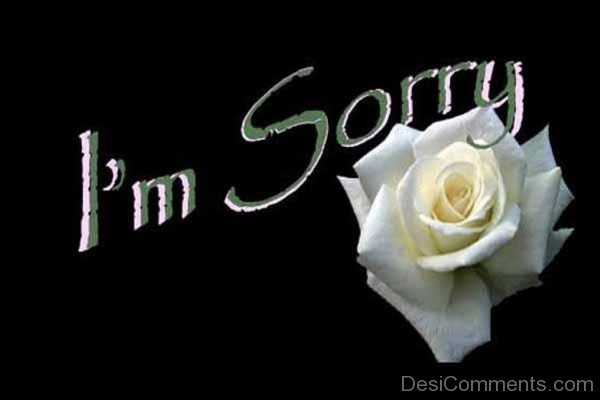 I’m Sorry..