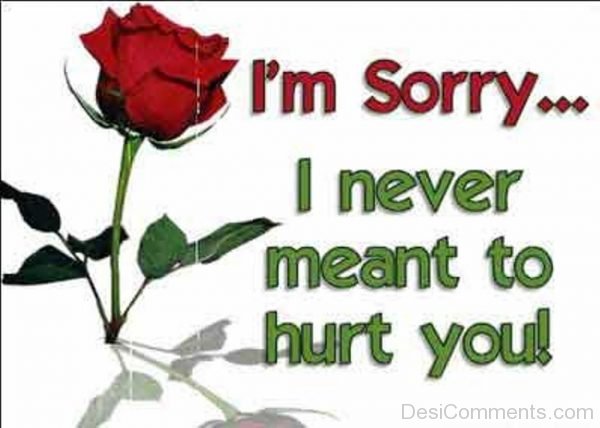I’m Sorry…