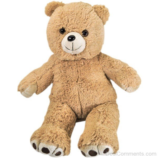 Image Of Teddy Bear