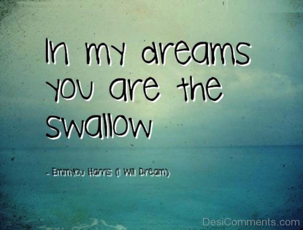 In My Dreams You Are The Swallow