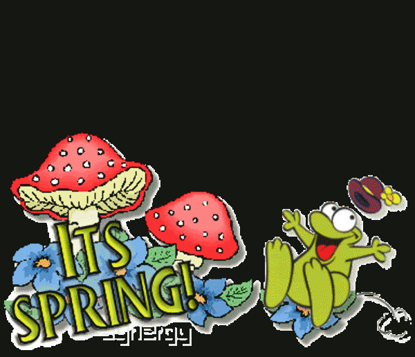 Its Spring-DC043