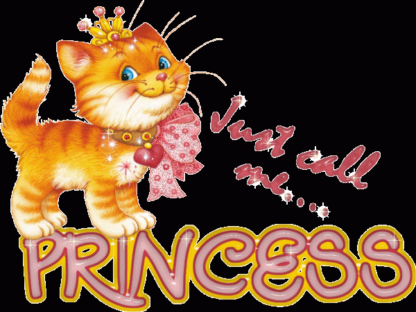 Just Call Me Princess Cat Graphic