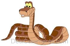 Kaa Cartoon Picture