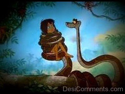 Kaa Holding Mowgli