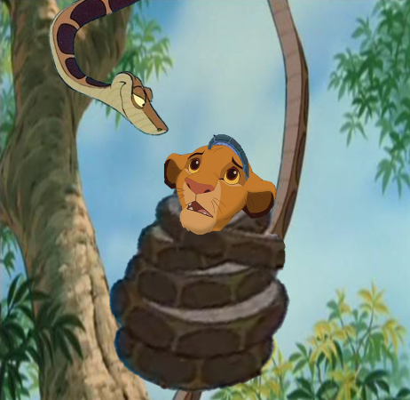 Kaa Holding Simba