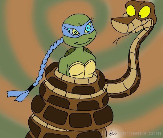 Kaa Holding Venus