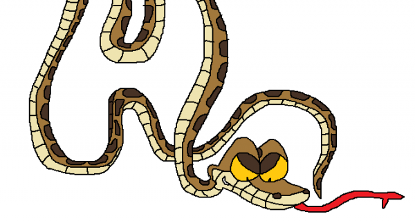 Kaa Picture-DESI07