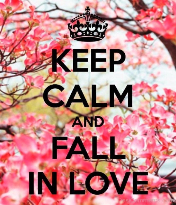 Keep Calm And Fall In Love - DC451