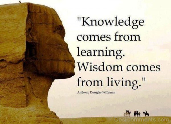 Knowledge Is Wisdom-dc02117