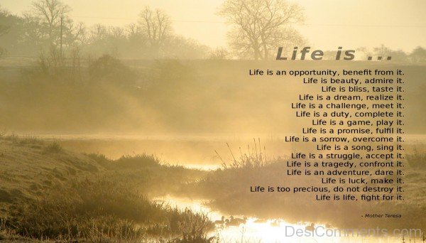 Life Is