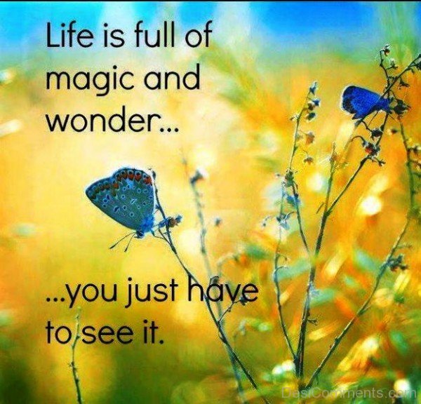 Life Is Full Of Magic And Wonder-yt905Dc00DC16