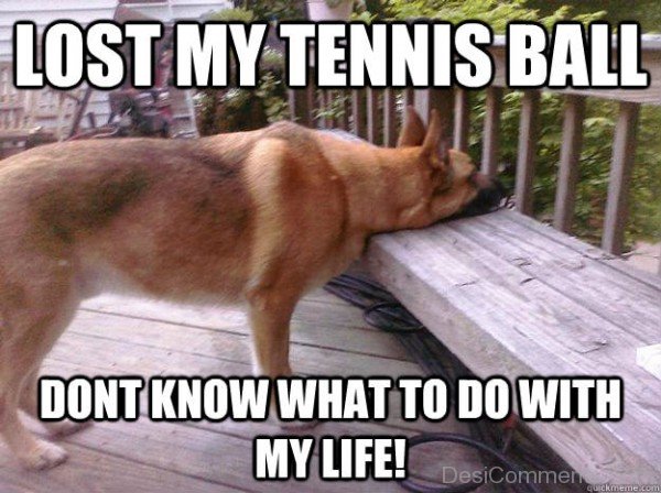 Lost My Tennis Ball