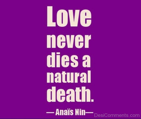 Love Never Dies A Natural Death-nm805DC00DC04