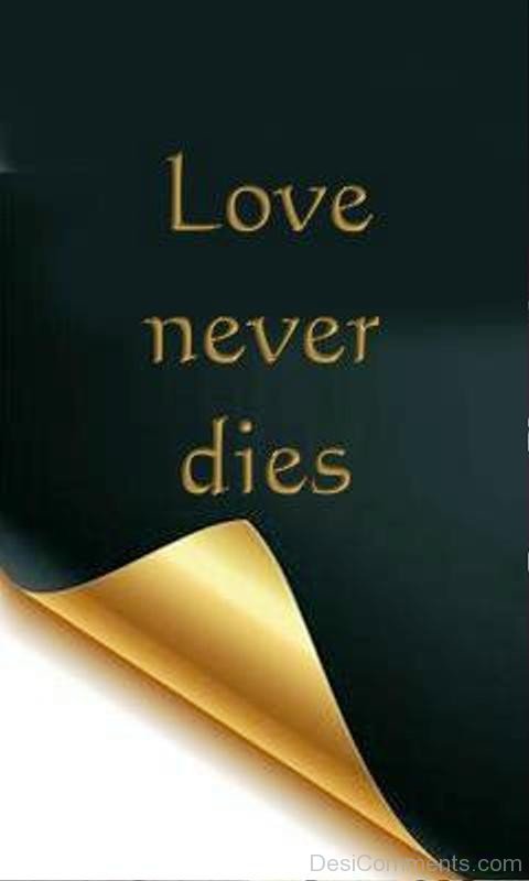 Love Never Dies Image-ytq218IMGHANS.COM02