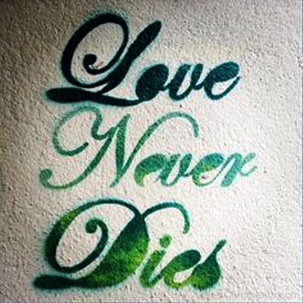 Love Never Dies-ytq221IMGHANS.COM22
