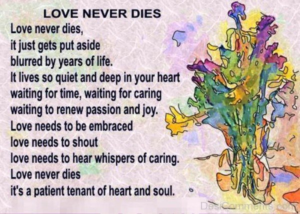 Love Never Dies,It Just Gets Put Aside-nm806DC00DC10