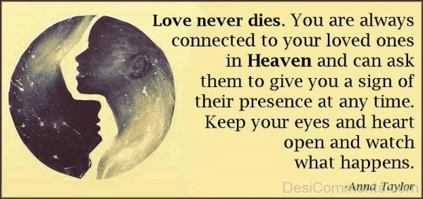 Love Never Dies,You Are Always Connected-nm807DC00DC07