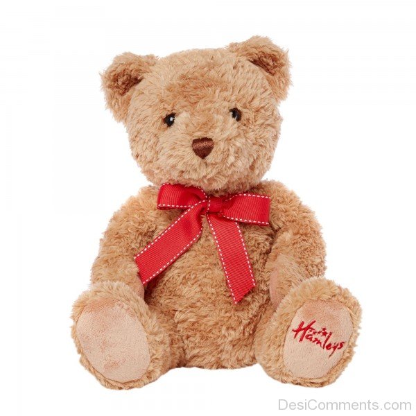 Lovely Image Of Teddy Bear