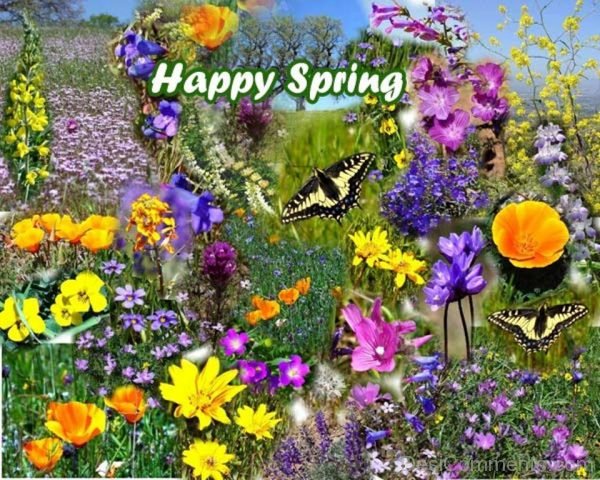 Lovely Spring Garden-DC084