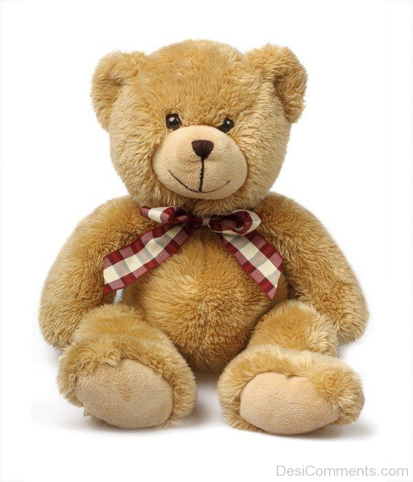 Lovely Teddy Bears