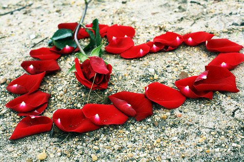 Make Hearts With Rose petals