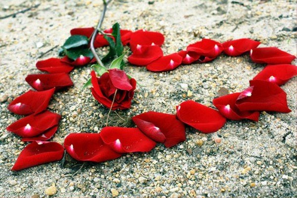 Make Hearts With Rose petals