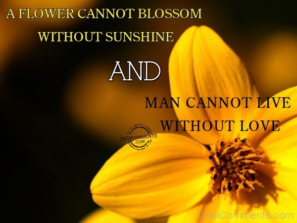 Man Cannot Live Without Love - 11