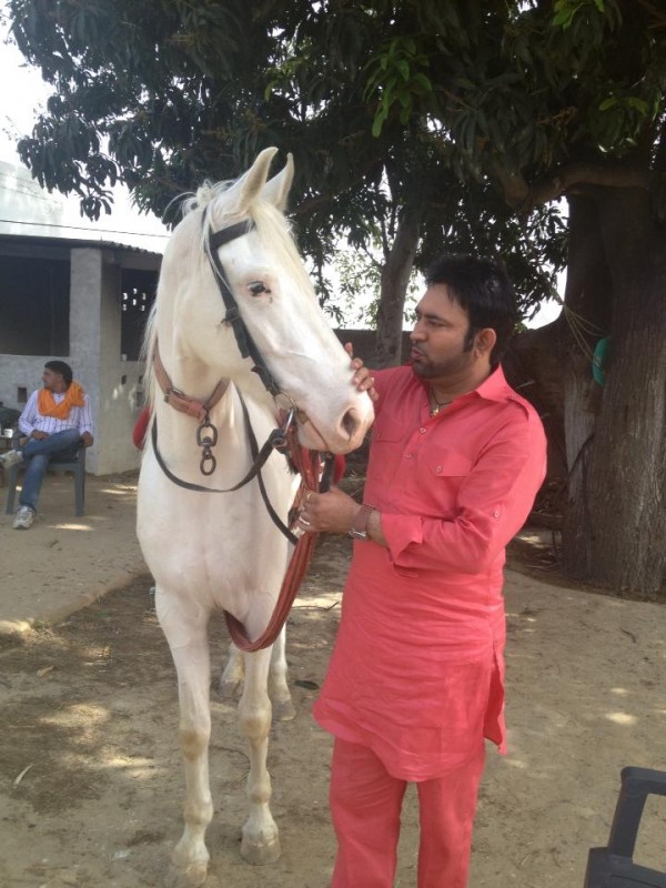 Mangi Mahal With Horse