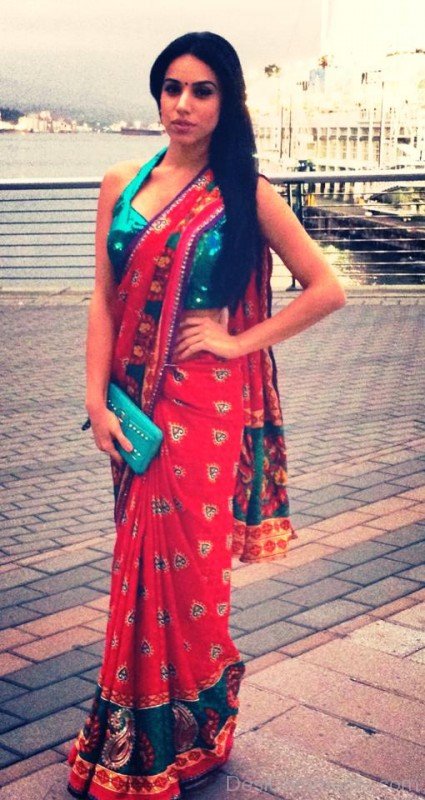 Mannu Sandhu In Saree