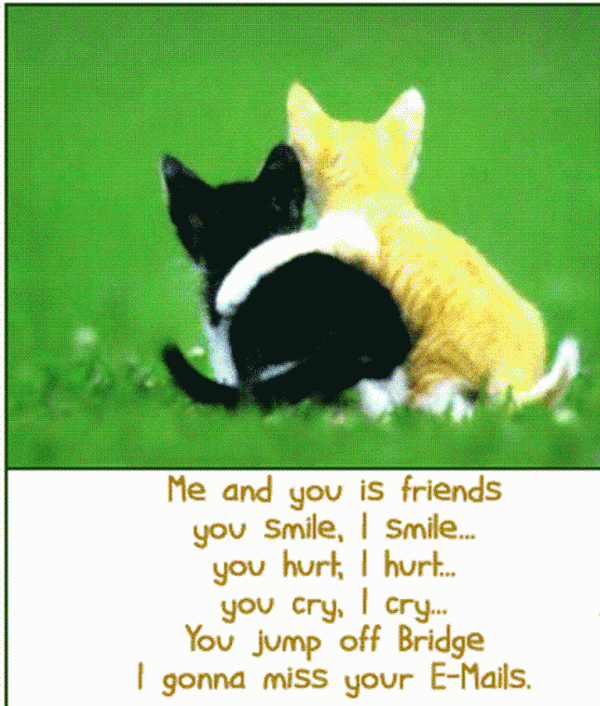 Me And You Is Friends You Smile-PC8825