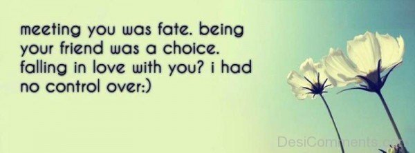 Meeting You Was Fate
