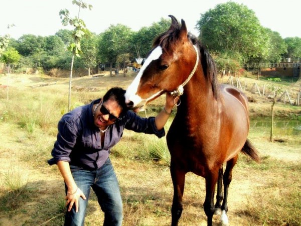 Mika Singh With Horse