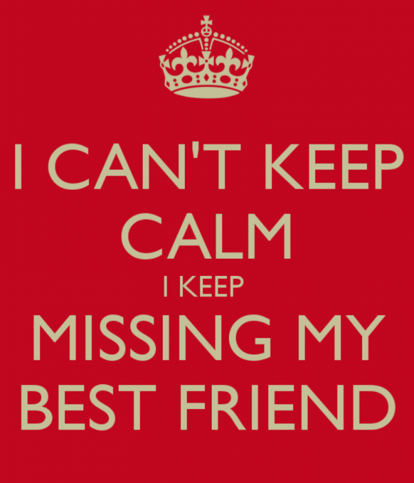 Missing My Best Friend-PC8826