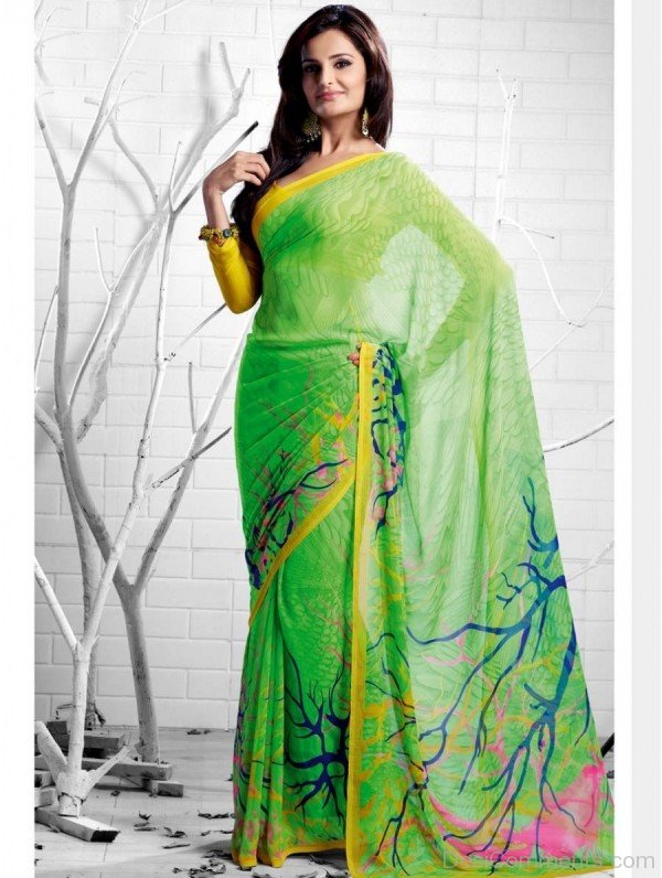 Monica Bedi In Green Saree