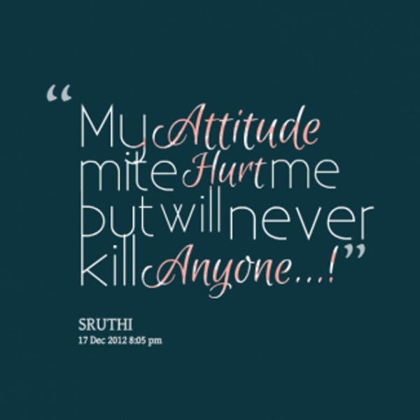 My Attitude Mite Hurt Me-DC56