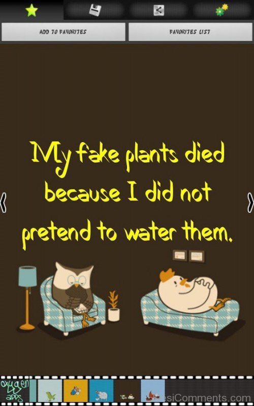 My Fake Plants Died